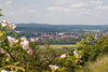Ausblick zur Stadt Warstein